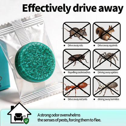 Keep Your Home Rodent-Free Naturally