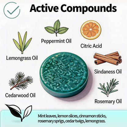 Keep Your Home Rodent-Free Naturally
