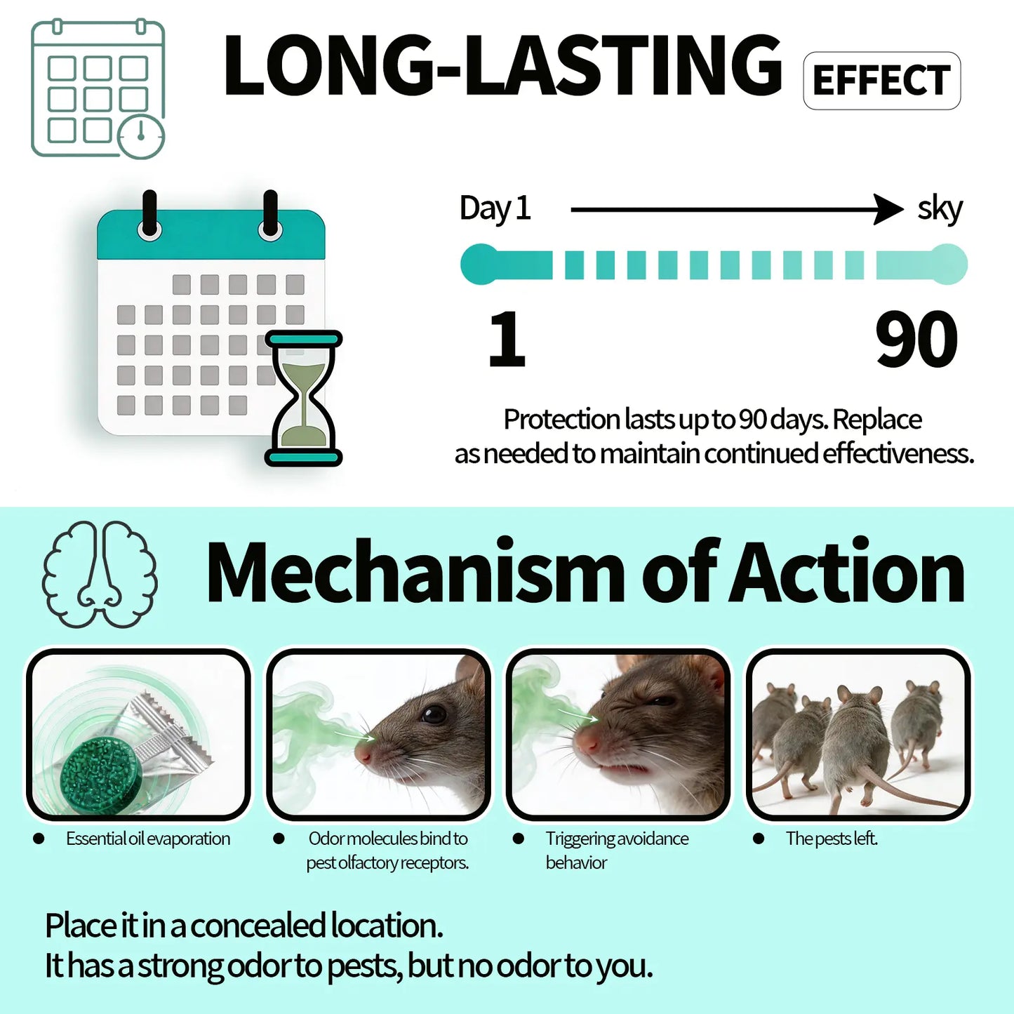 Keep Your Home Rodent-Free Naturally